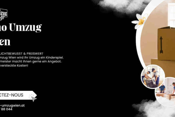 Umzugskarton Wien