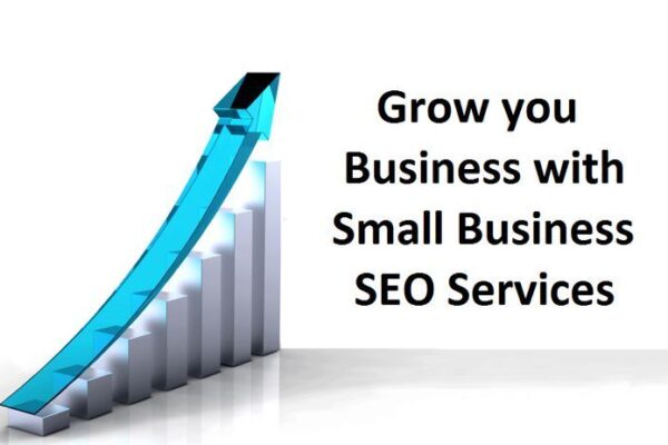 Digital marketing expert analyzing website performance for a business in Ilford.