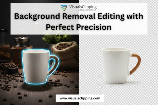 Photo Background Removal Service by Visuals Clipping