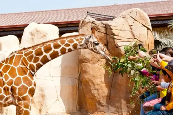 Emirates Zoo Abu Dhabi Tickets