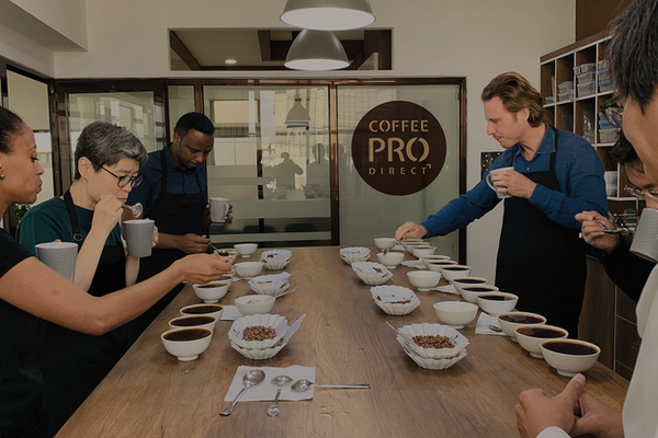 sample roaster for coffee