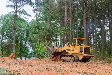 Hinz Logging & Land Clearing