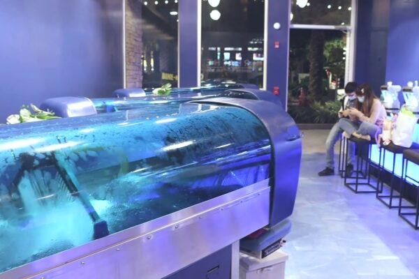 buy oxygen bar in usa