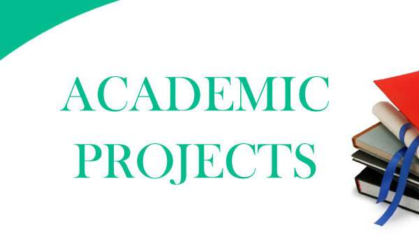 What Makes Great Writing Stand Out in Academic Projects?