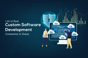 Custom Software Development Dubai