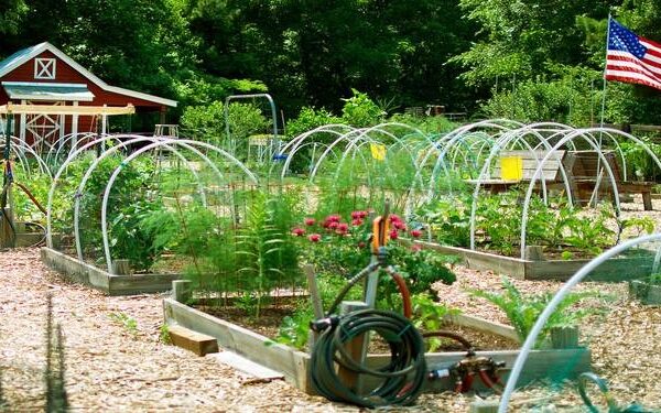 Planning A Vacation-Friendly Garden That Stays Alive While You’re Away