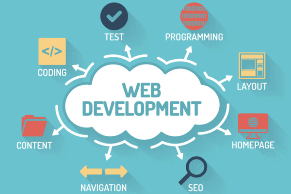 Web Developer in Pakistan