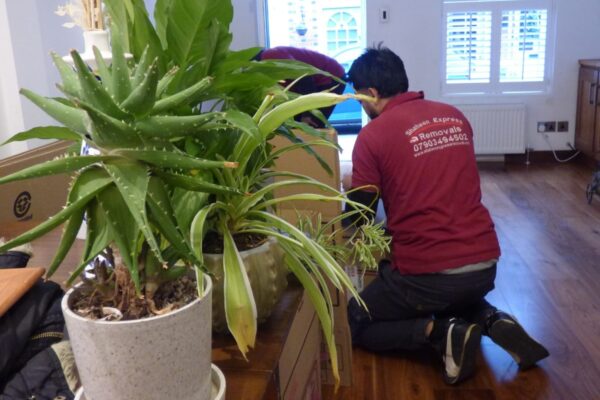 removal companies st albans