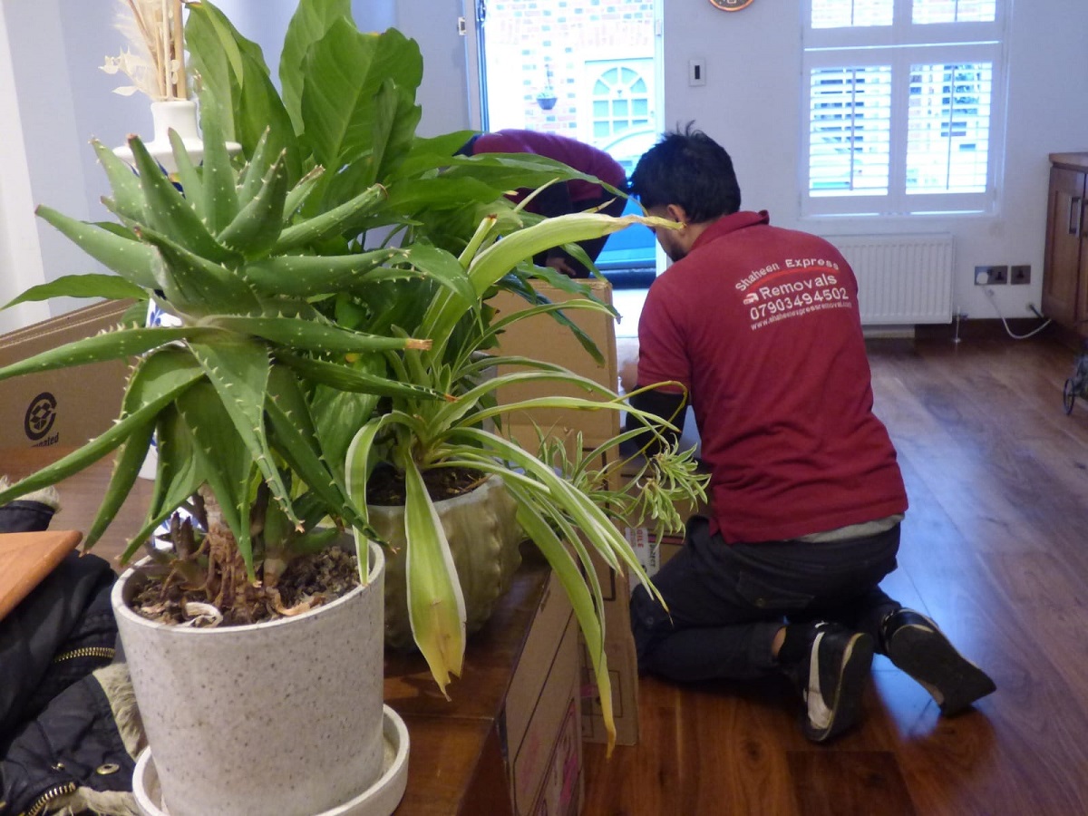 removal companies st albans