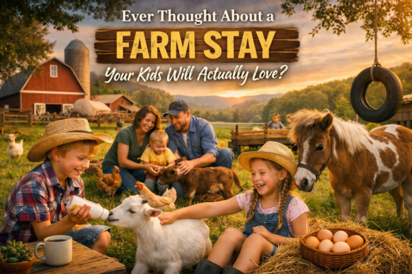 Kids feeding a goat and playing with farm animals during a family stay at a Homestay in Thrissur Kerala