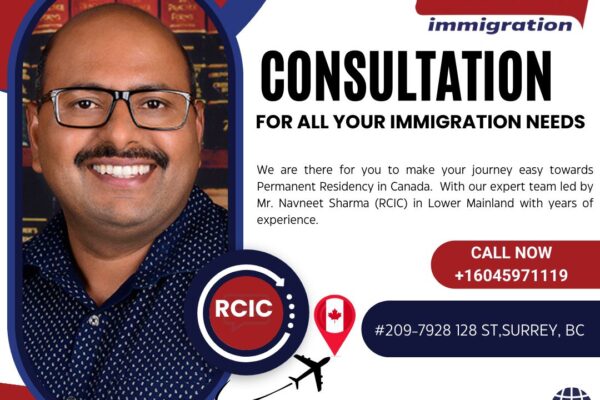 immigration consultant