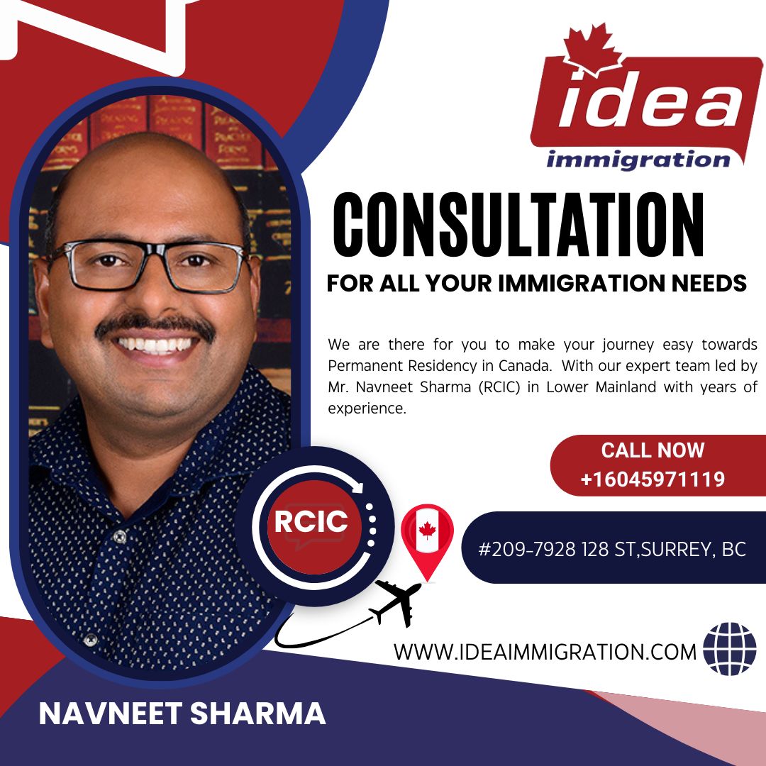 immigration consultant