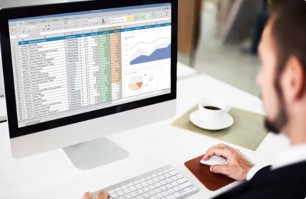 Accounting Software in Pakistan