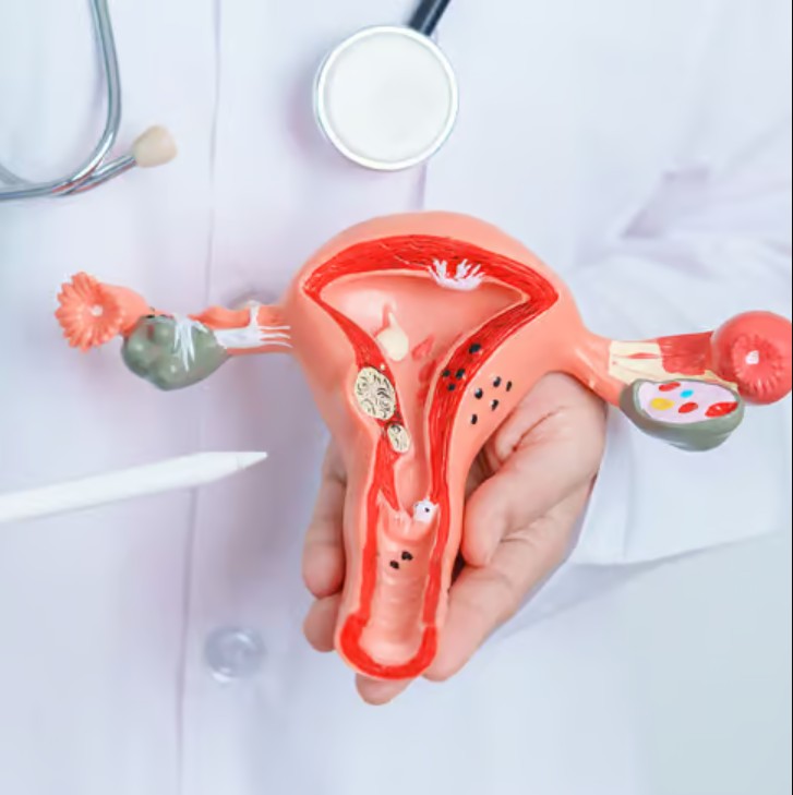 Premature Ovarian Failure Treatment In Dubai
