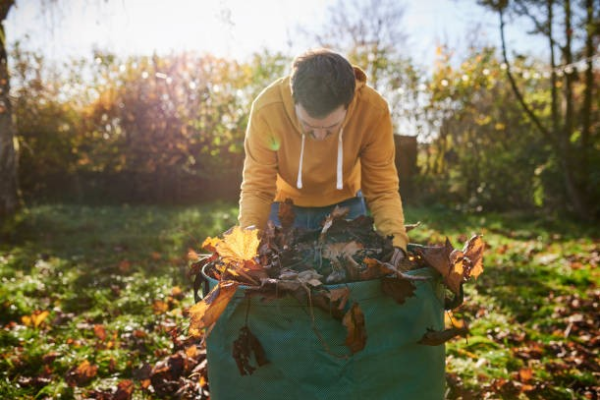 Leaf Removal Benchmark