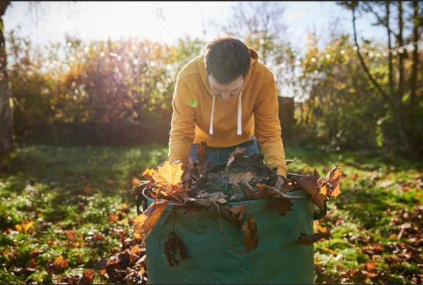 Leaf Removal Benchmark
