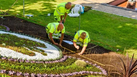 Landscaping service