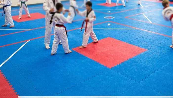 Taekwondo Mats