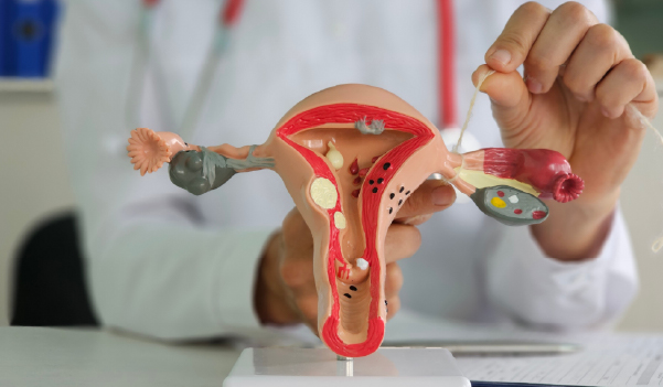 adenomyosis treatment in Ambikapur