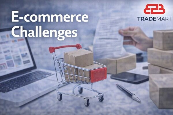 Ecommerce challenges