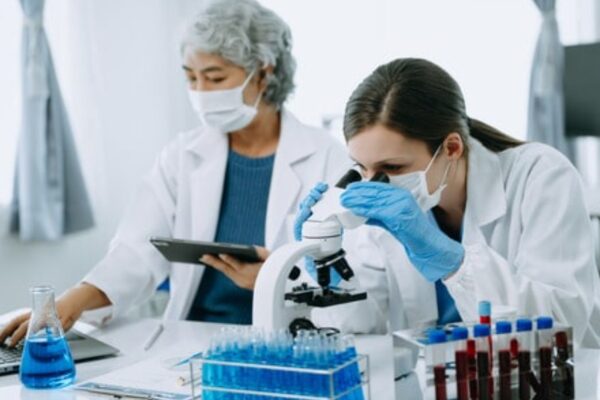 lab