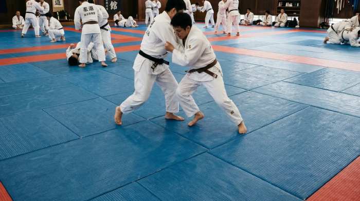 Judo Mats