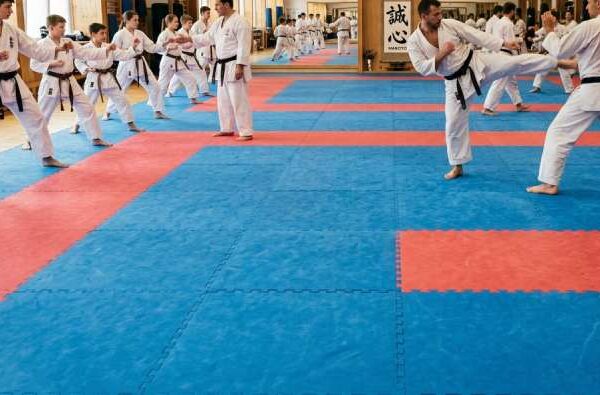 Karate Mats Price