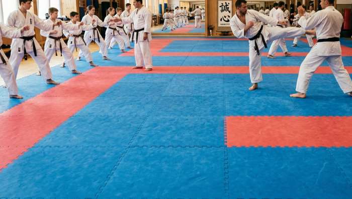 Karate Mats Price