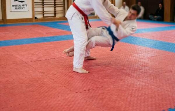 Martial Arts Mat