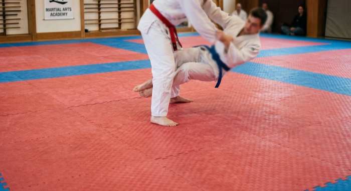 Martial Arts Mat