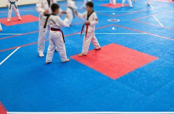 Taekwondo Mat Price