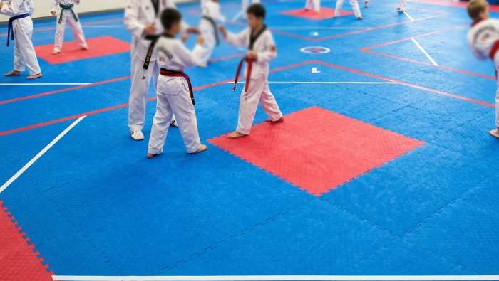 Taekwondo Mat Price