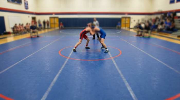Wrestling Mat