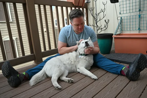 Best Animal Communicator
