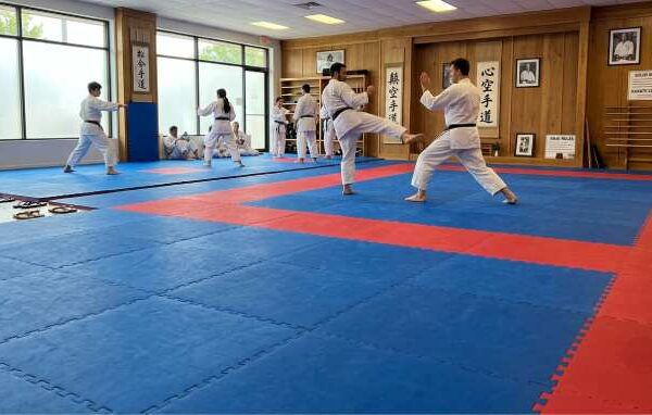 Karate Mat