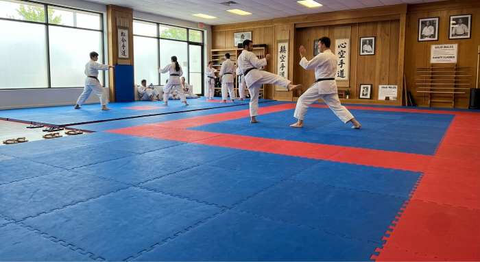 Karate Mat