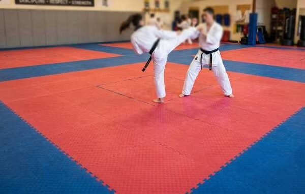 Martial Arts Mats