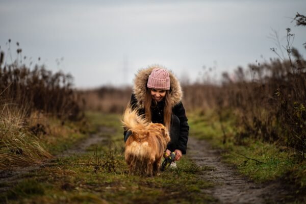 Everyday Pet Expenses
