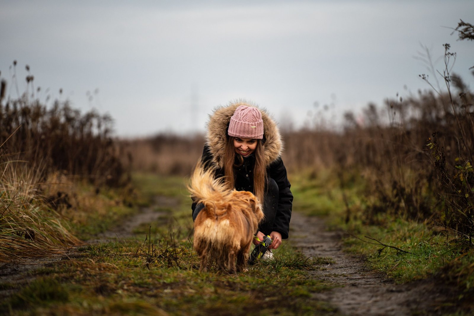 Everyday Pet Expenses