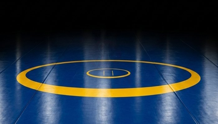 Wrestling Mat