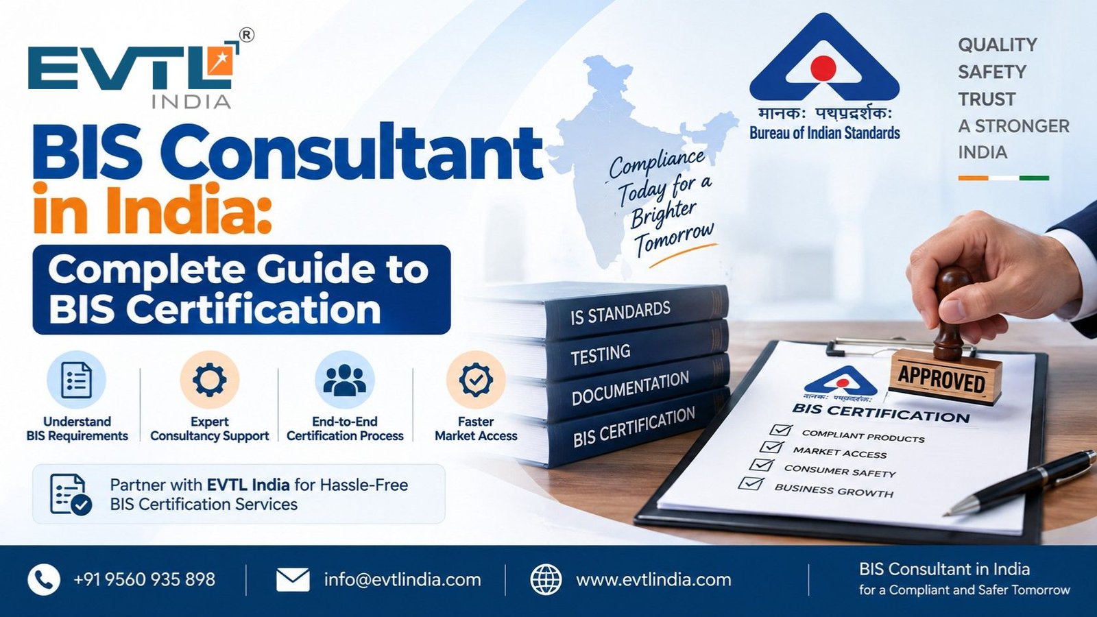 BIS Consultant
