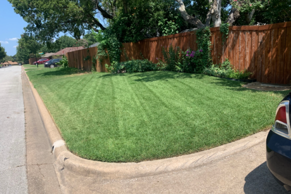 Lawn Care Services Flower Mound TX