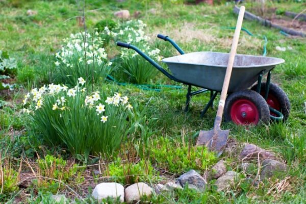 Luxe Landscaping Complete Outdoor Property Improvements in Maryland