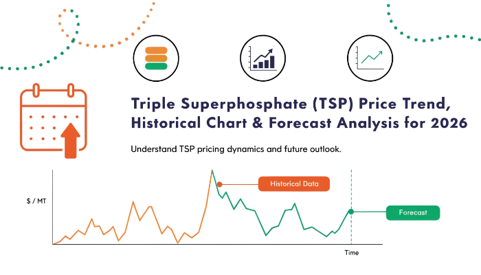 Triple Superphosphate (TSP) Prices