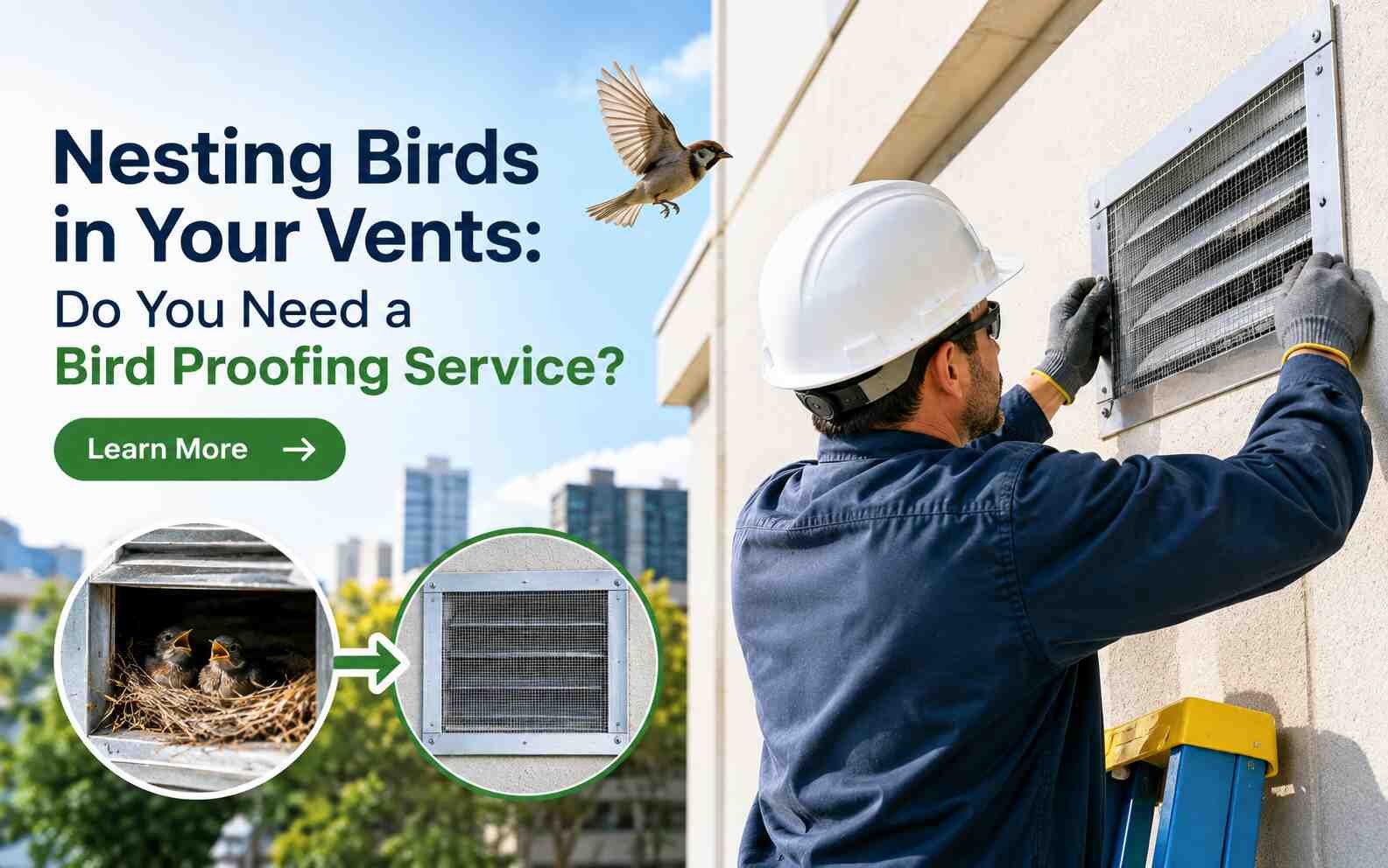 Nesting bird inside a ventilation vent