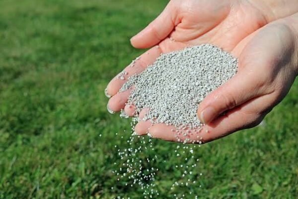 lawn fertiliser