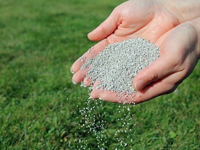 lawn fertiliser