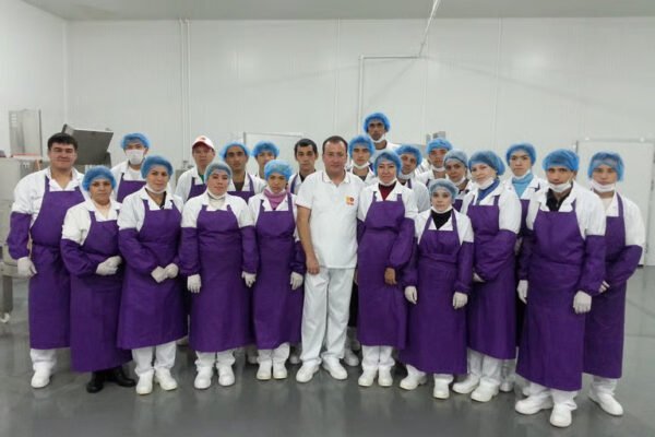 Doner factory consulting