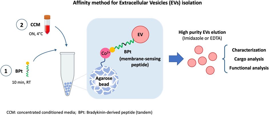 Endotoxin Removal Kit