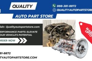 Quality Auto Part Store